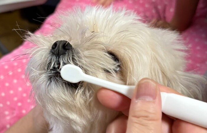 健康に気をつけています。